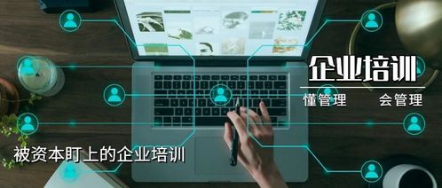 独立站需要卖家主动出击， tong过多种渠道获取流量，提升网站曝光度和用户访问量