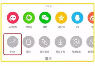 点赞与粉丝的关系：量的积累与质的飞跃