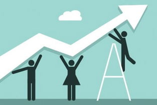 5. 提高店铺信用度