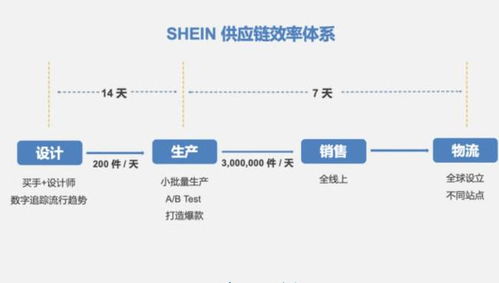 二、 Shein的物流供应链优化策略