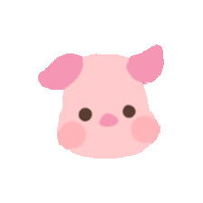 二、 产品品质把控