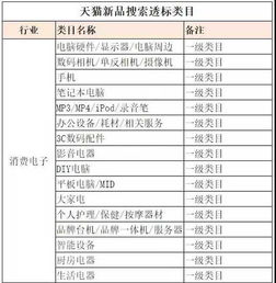 2. 活动投放与引导