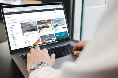 一、 Shein平台简介