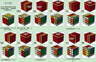 引力魔方的投放策略与注意事项