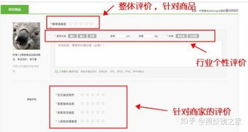 三、 评价的真实性与相关性