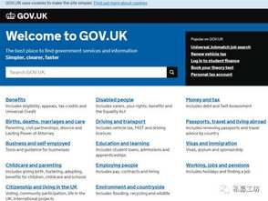 申报周期的选择与提交要求