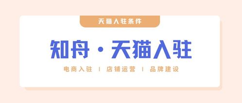 一、 天猫供销平台简介