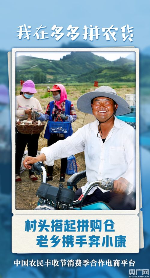 三、 金猪级别升级条件