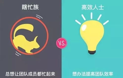 客户反馈机制：提升审核tong过率的有效途径