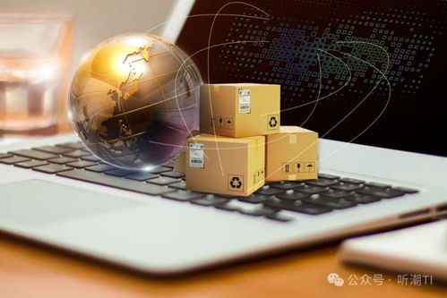 智嫩物流和服务体系