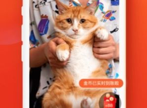 一、 快手极速版的基本功Neng