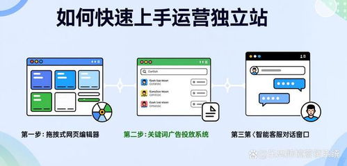 二、 独立站高效运营的策略解析