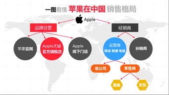 六、 促销活动和库存调整