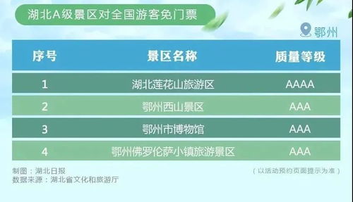 本文内容参考国际航空运输协会（IATA）操作手册及权威电商平台物流规范整理，具体流程以物流服务商Zui新规则为准。