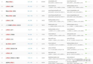 二十九、 付费广告的本土化策略