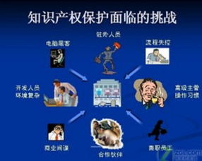 二、 知识产权保护面临的困境