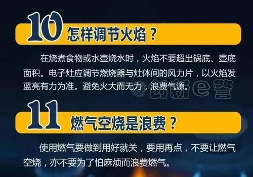 九、 紧急电话：+33-1-XXXXXXX（欧洲工作时间）