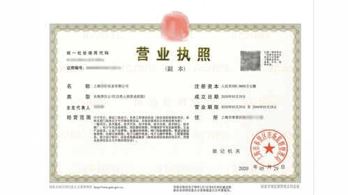 一、 公司类型的选择