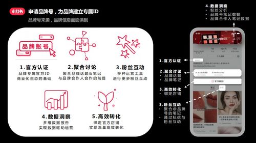 3. 正文内容策划