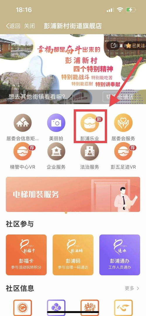 5. 招牌风格设置