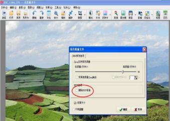 二、淘宝新品标签主图需要五张吗？