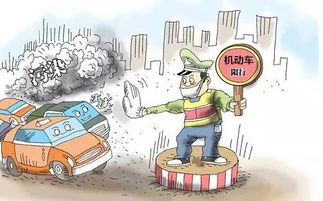 Shein环保标签政策解读