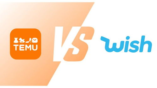 三、 中国电商平台在欧洲的影响力