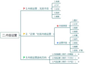 二、 新店运营思路与策略