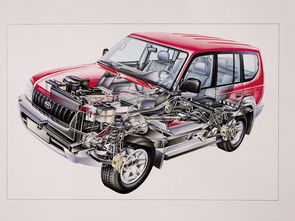 挑战与增长并存