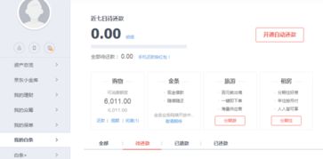 一、京东白条临时额度概述