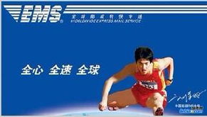 2. 咨询服务信息