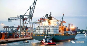 八、 职业发展与福利待遇