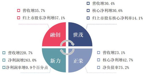 五、 领域或产品的选择