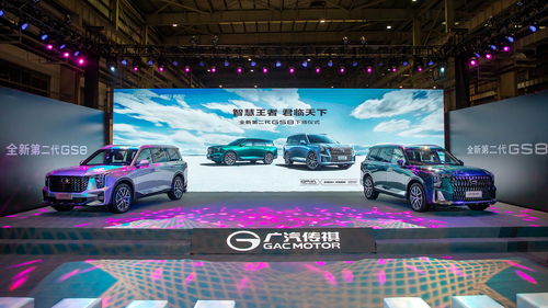 迎合市场：多元文化与年轻消费群体