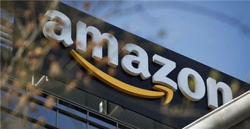 一、 亚马逊促销活动的目的与产品选择