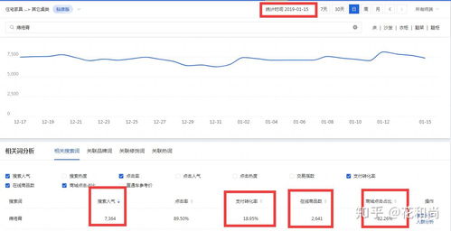网络服务：便捷生活的推动者