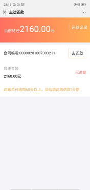 四、逾期利息和滞纳金说明