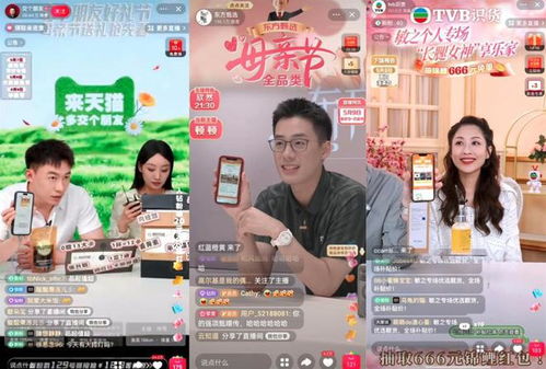 2. 活动形式分析