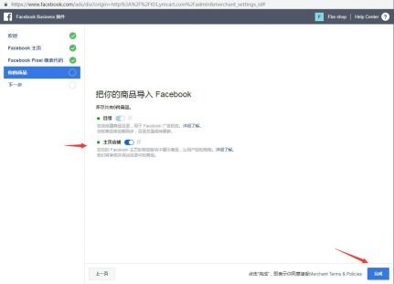 二、 独立站的发展潜力：专业代运营的替代