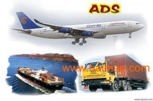 四、 分拣与运输