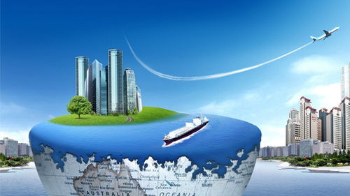 细分领域与品类选择