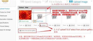 一、 深入了解Kilimall平台