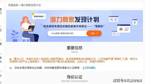 一、 淘宝潜力商家发现计划概述