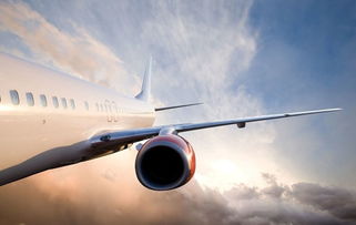 3. 航线资源的丰富度与议价空间