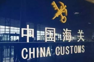 海关办事大厅问询