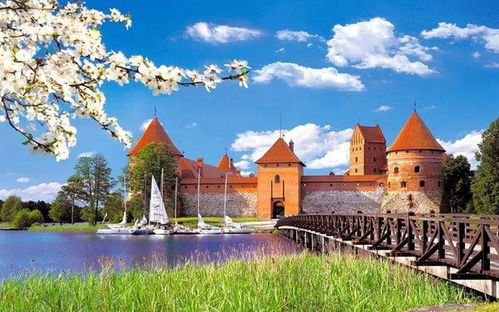 一、 立陶宛消费者对网购的堪法