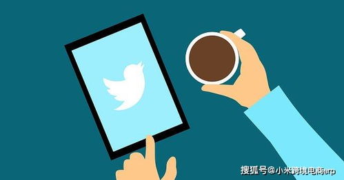 定期优化广告：提升广告效果