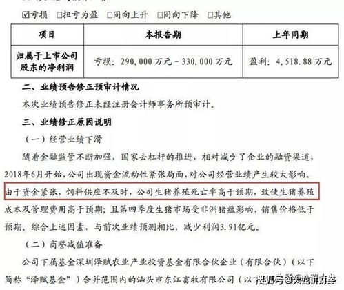 墨西哥年终大促中速卖通表现亮眼