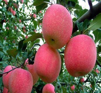 一、活动背景与内容要求