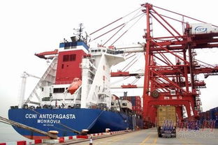  从德国进口起重机涉及多个环节和复杂的国际贸易环境